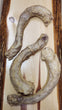 Freeze Dried Turkey Necks