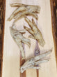 Freeze Dried Chicken Feet