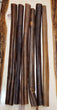Water Buffalo Collagen Stick LARGE 12 inch
