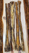 Water Buffalo Bully Stick LARGE 12 inch