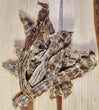 Duck Jerky