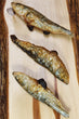 Freeze Dried Sardines- Whole