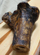 Ostrich Knuckle Bone LARGE